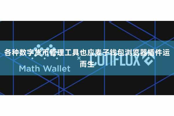 各种数字货币管理工具也应麦子钱包浏览器插件运而生