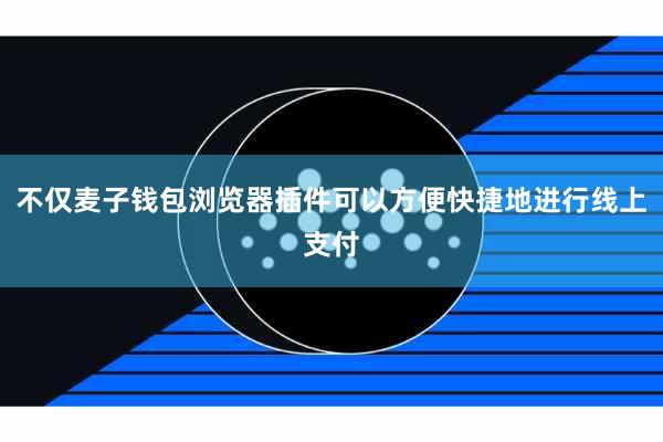不仅麦子钱包浏览器插件可以方便快捷地进行线上支付
