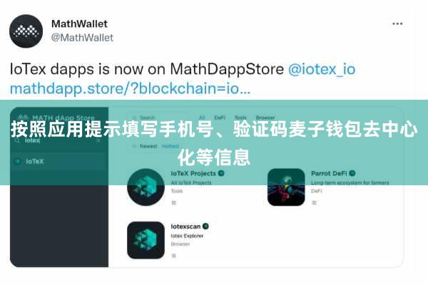 按照应用提示填写手机号、验证码麦子钱包去中心化等信息