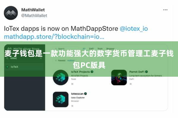 麦子钱包是一款功能强大的数字货币管理工麦子钱包PC版具