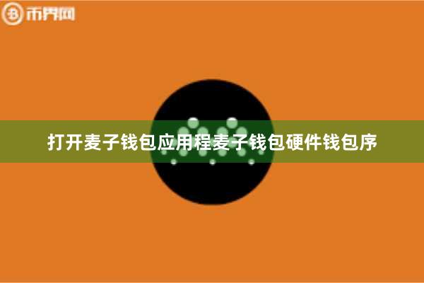 打开麦子钱包应用程麦子钱包硬件钱包序