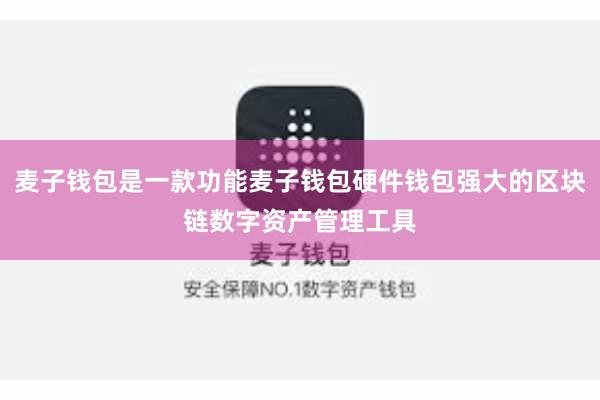 麦子钱包是一款功能麦子钱包硬件钱包强大的区块链数字资产管理工具
