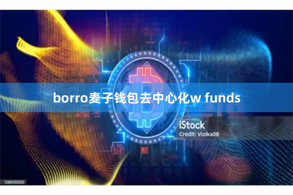 borro麦子钱包去中心化w funds