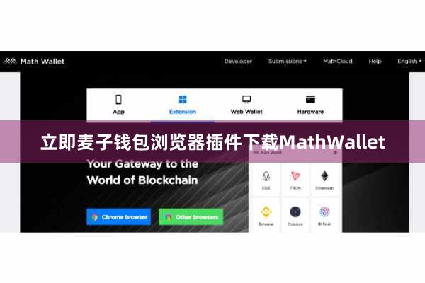 立即麦子钱包浏览器插件下载MathWallet