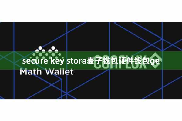 secure key stora麦子钱包硬件钱包ge