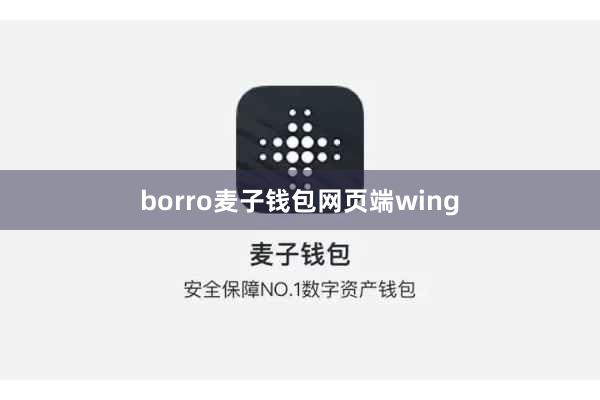 borro麦子钱包网页端wing