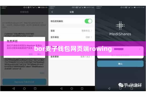 bor麦子钱包网页端rowing