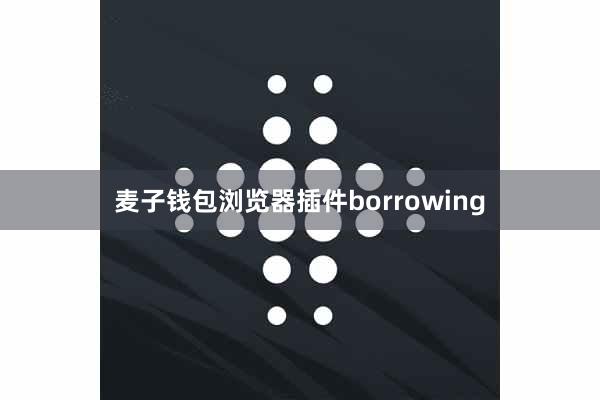 麦子钱包浏览器插件borrowing