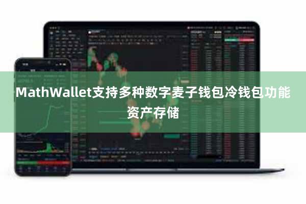 MathWallet支持多种数字麦子钱包冷钱包功能资产存储