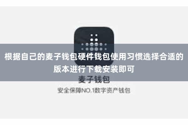 根据自己的麦子钱包硬件钱包使用习惯选择合适的版本进行下载安装即可
