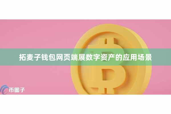 拓麦子钱包网页端展数字资产的应用场景