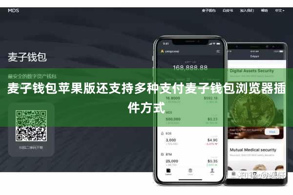 麦子钱包苹果版还支持多种支付麦子钱包浏览器插件方式