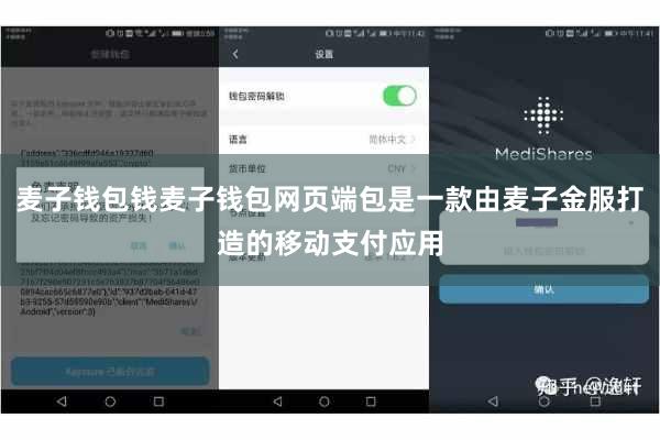 麦子钱包钱麦子钱包网页端包是一款由麦子金服打造的移动支付应用